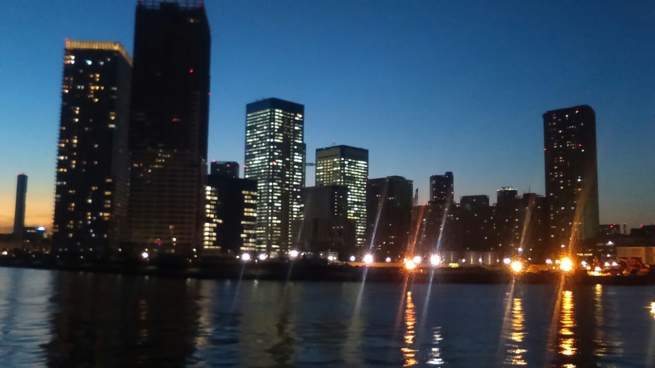 冬のお台場でハゼの穴釣り 豊洲の夜景 ベイエリア 湾奥 フィッシング すみだ川 橋とツリーと竿と僕