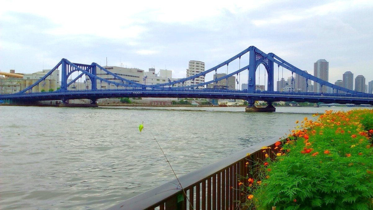 佃島周辺でハゼ釣り 初めての穴釣り すみだ川 橋とツリーと竿と僕