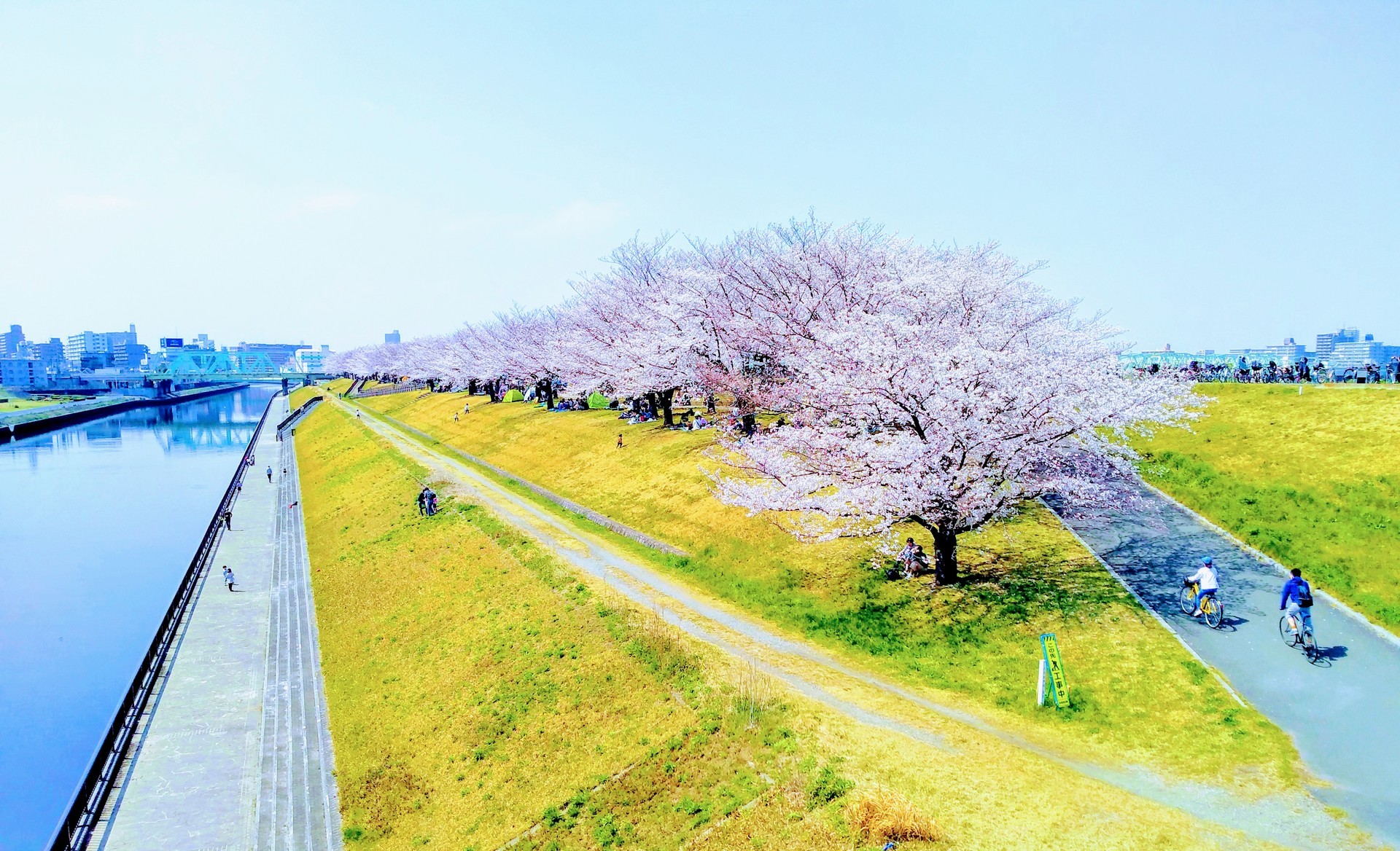 花見がてらにロッド忍ばせ岩淵水門 新河岸川 浮間公園散歩 すみだ川 橋とツリーと竿と僕