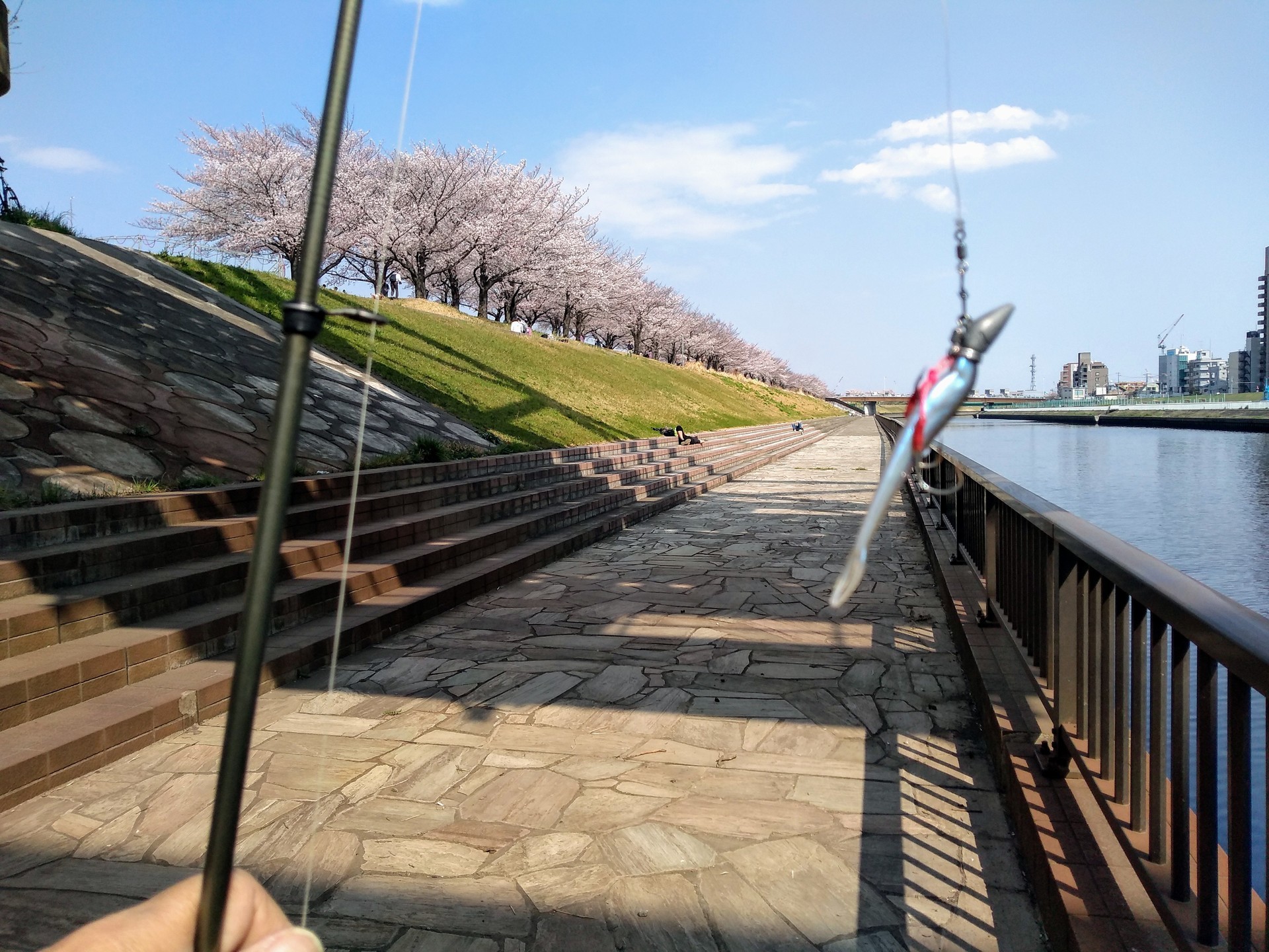 花見がてらにロッド忍ばせ岩淵水門 新河岸川 浮間公園散歩 すみだ川 橋とツリーと竿と僕