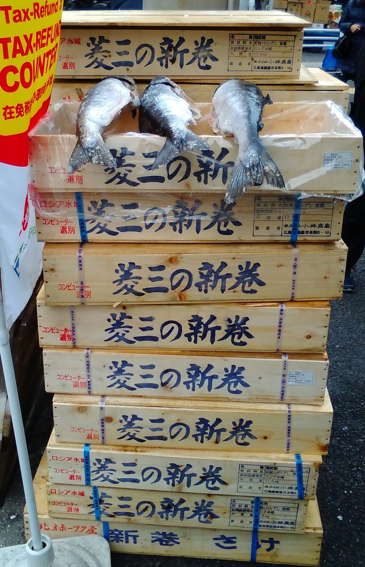 冬の隅田川でセイゴと遊ぶ すみだ川 橋とツリーと竿と僕