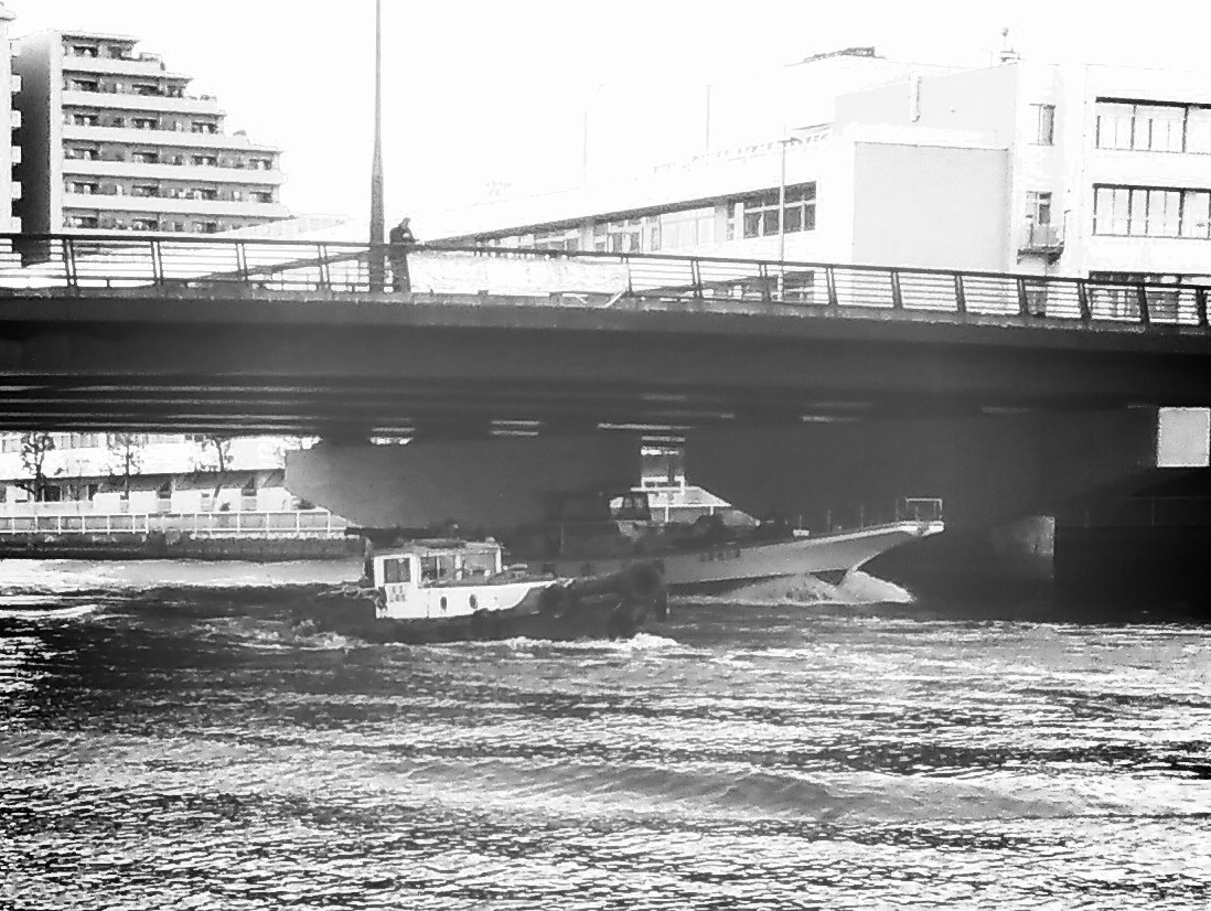 豊洲運河で落ちハゼ釣り すみだ川 橋とツリーと竿と僕