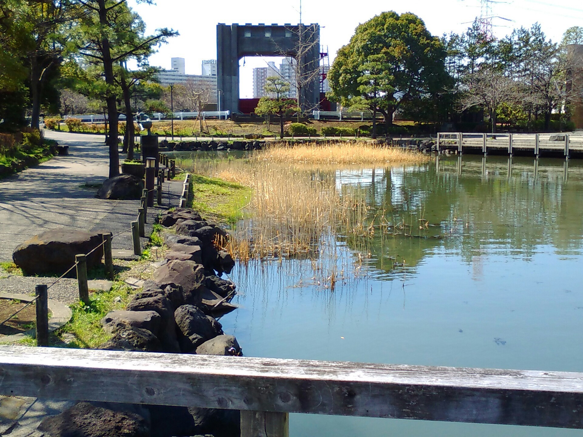 春うらら新左近川親水公園散歩 すみだ川 橋とツリーと竿と僕